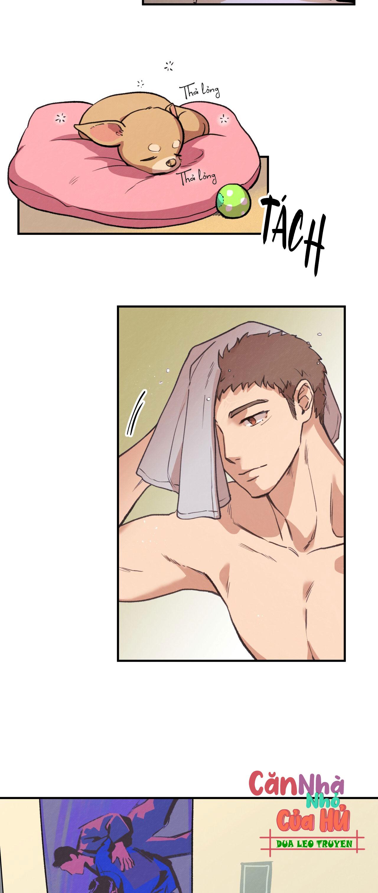 (END) MẬT GẤU Chapter 1 - Next Chapter 2