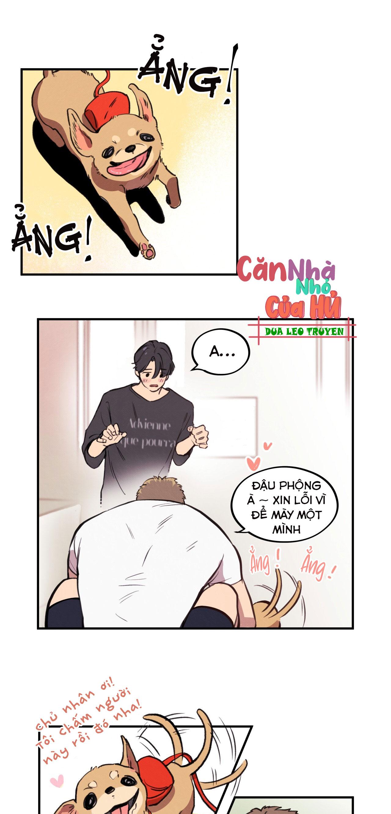 (END) MẬT GẤU Chapter 1 - Next Chapter 2