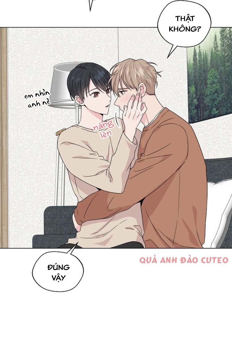 BOYLOVE FULL MÀU Chapter 3.4 - Trang 2