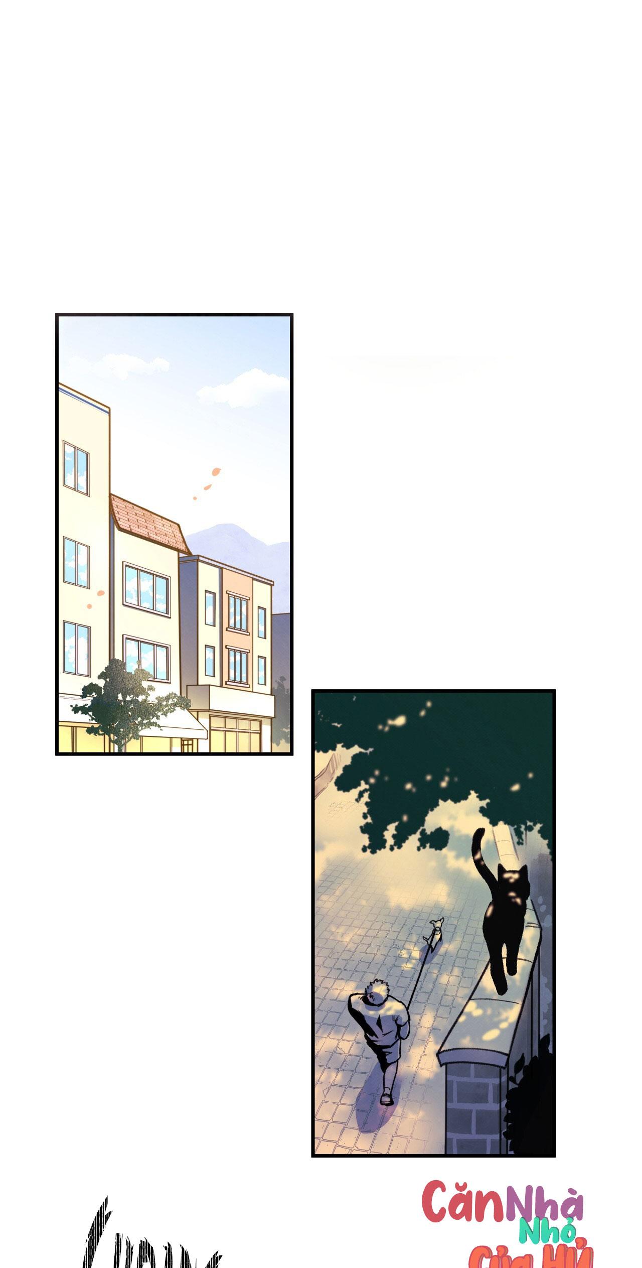 (END) MẬT GẤU Chapter 1 - Next Chapter 2