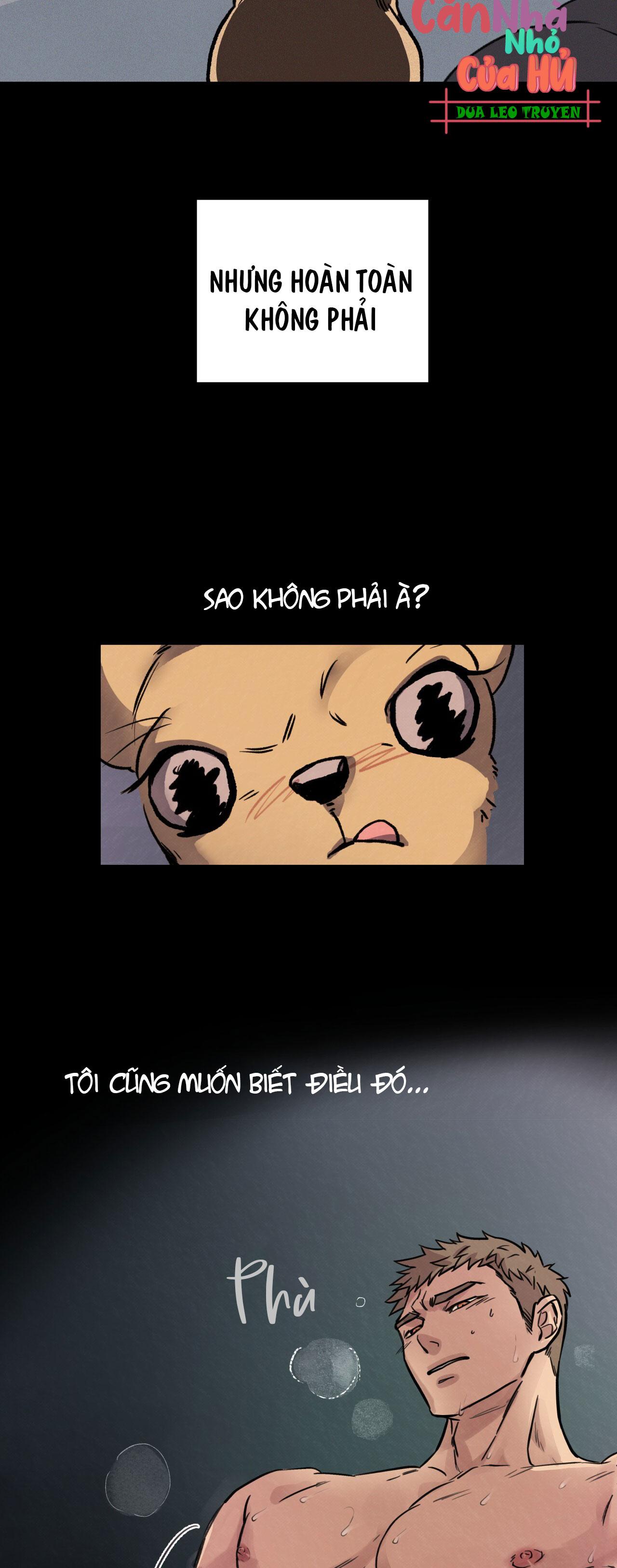(END) MẬT GẤU Chapter 1 - Next Chapter 2