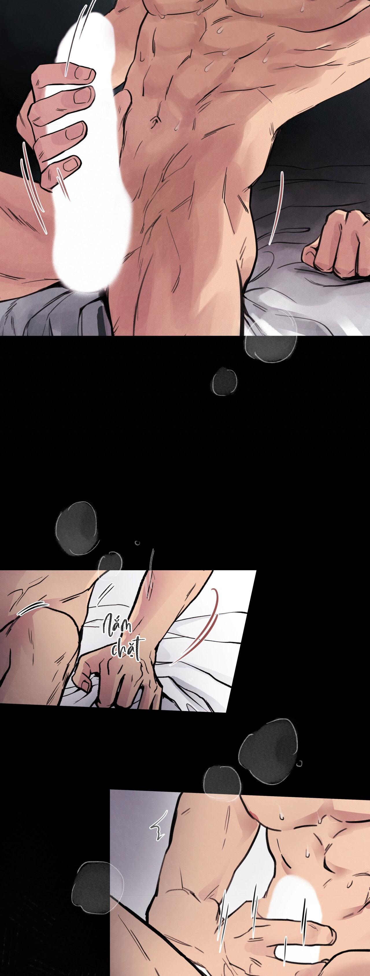 (END) MẬT GẤU Chapter 1 - Next Chapter 2