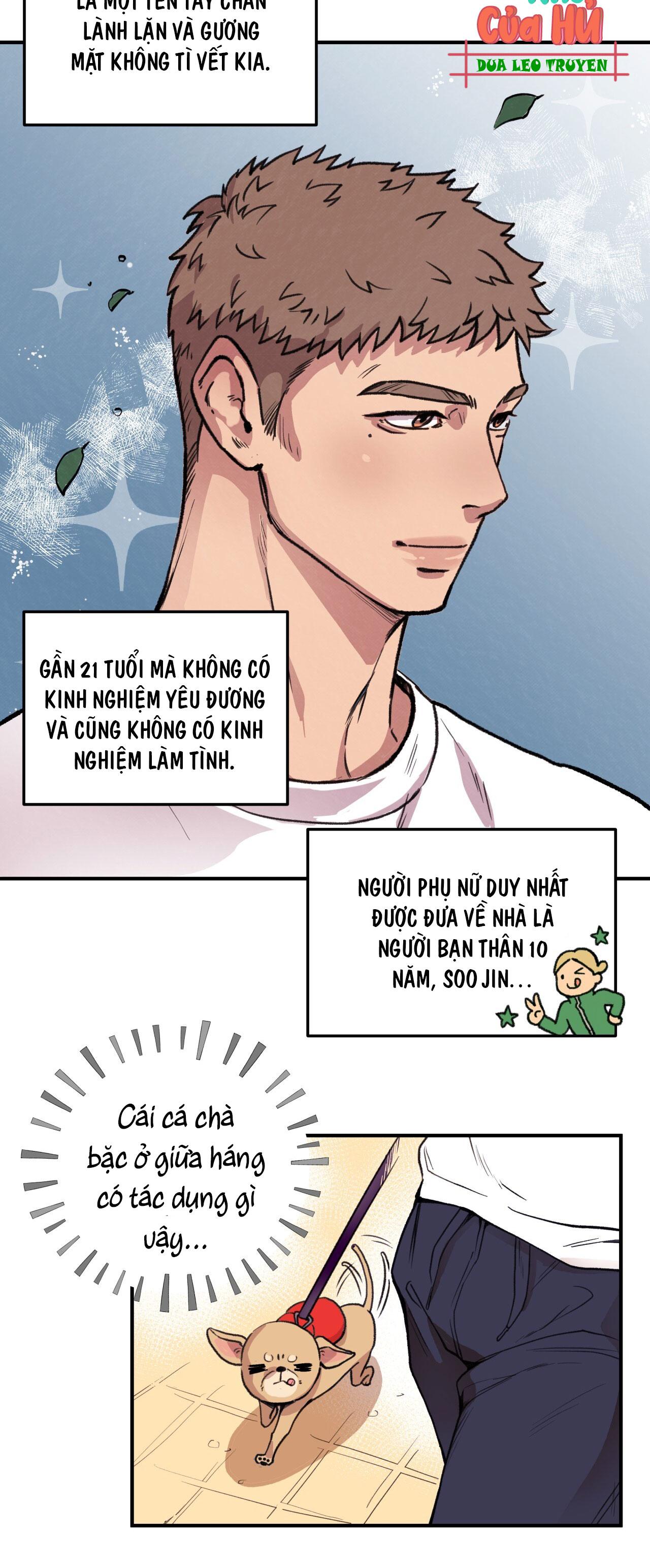 (END) MẬT GẤU Chapter 1 - Next Chapter 2