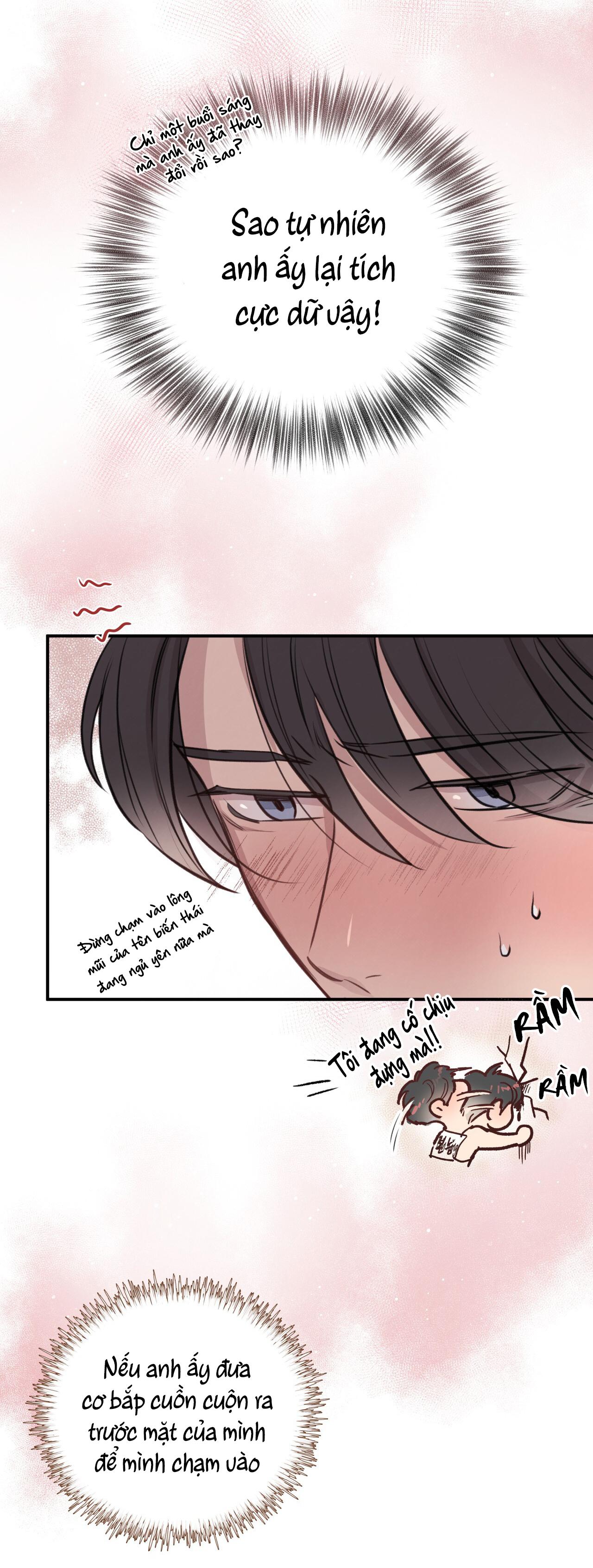 (END) MẬT GẤU Chapter 8 - Next Chapter 9