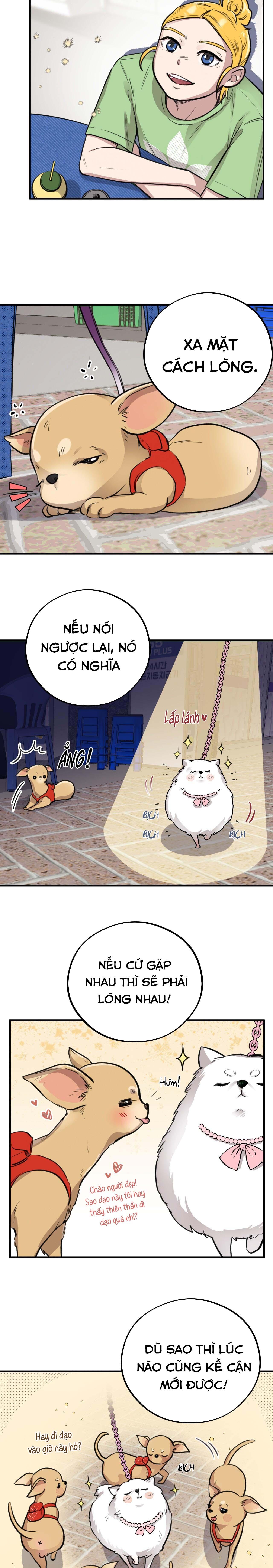 (END) MẬT GẤU Chapter 4 - Next Chapter 5