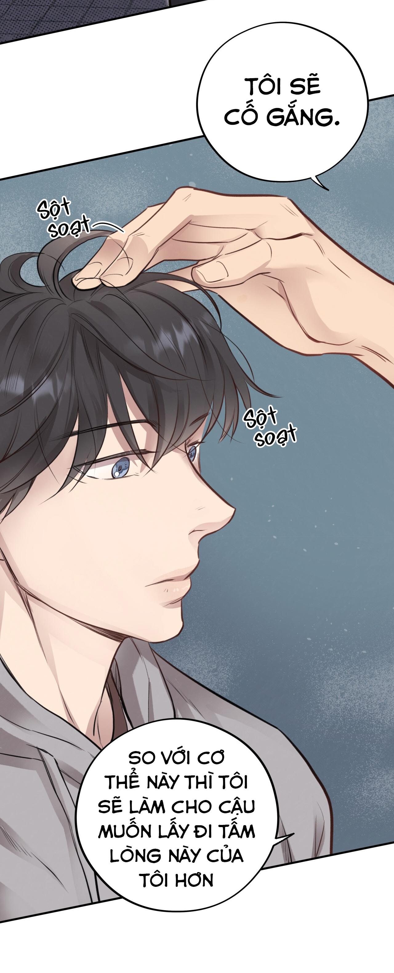 (END) MẬT GẤU Chapter 10 - Next Chapter 11