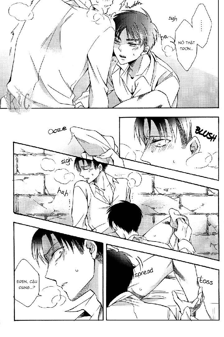 ONESHOT COI LÀ NỨNG Chapter 71 - Trang 2