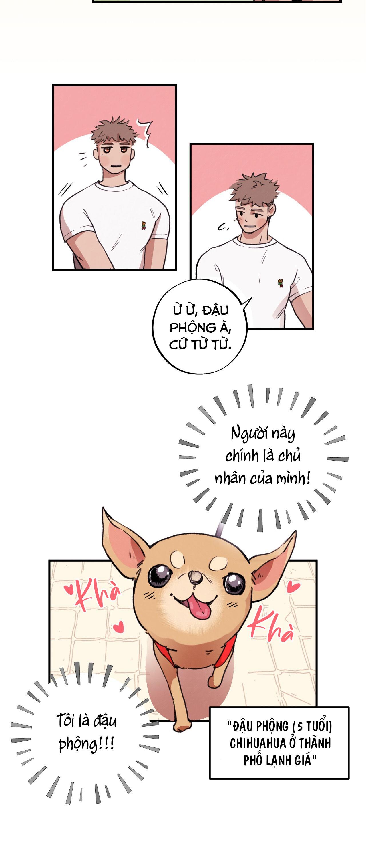 (END) MẬT GẤU Chapter 1 - Next Chapter 2