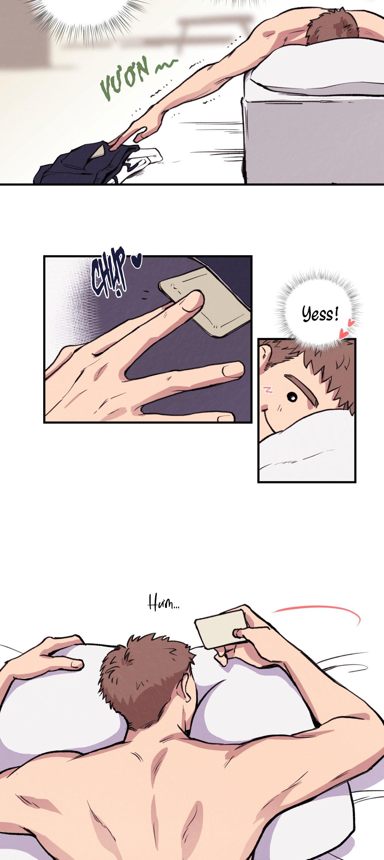 (END) MẬT GẤU Chapter 1 - Next Chapter 2