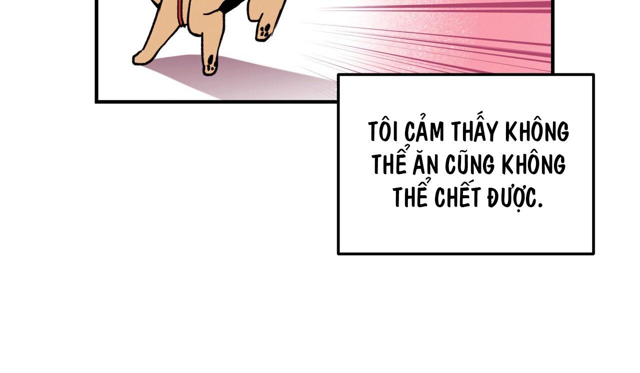 (END) MẬT GẤU Chapter 1 - Next Chapter 2