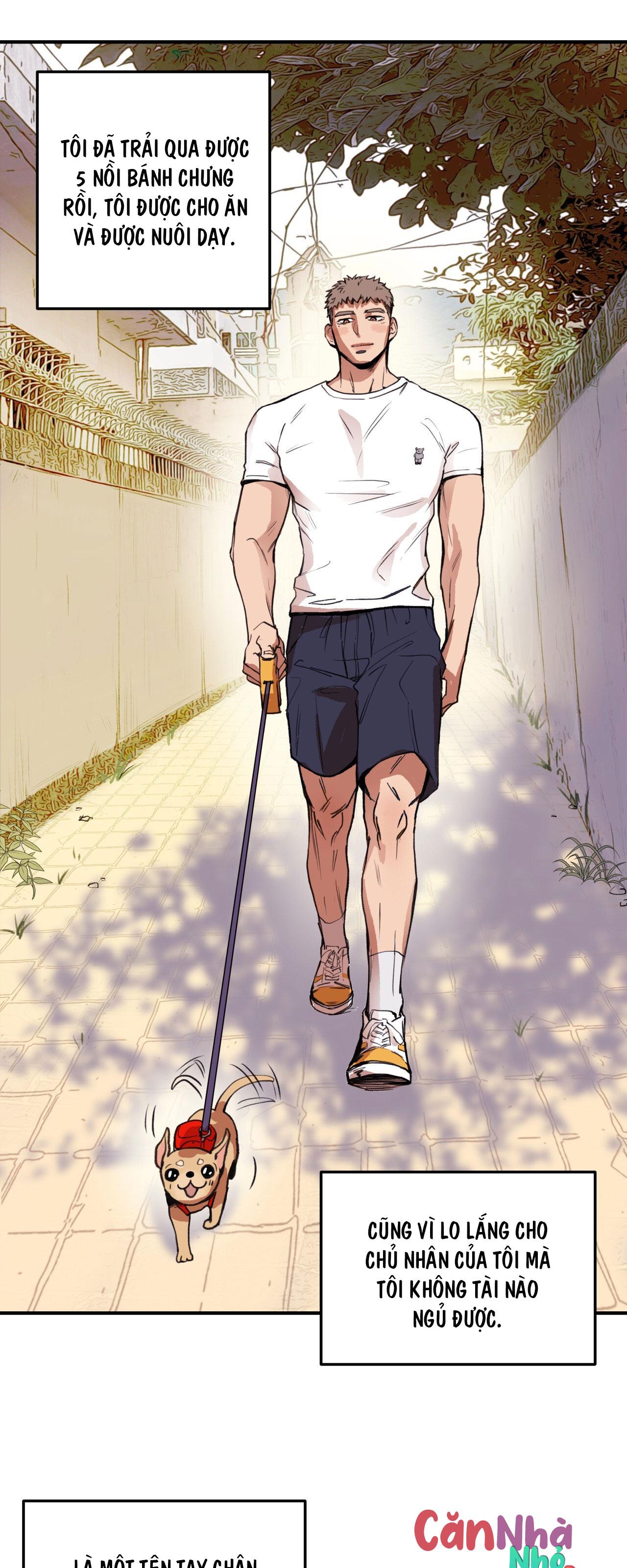 (END) MẬT GẤU Chapter 1 - Next Chapter 2