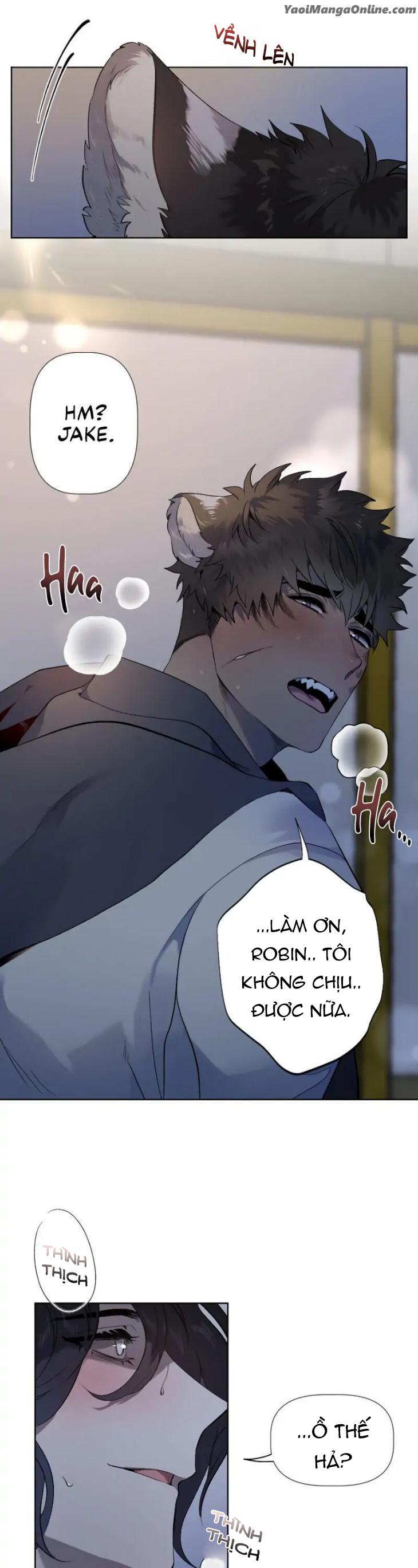 Tuyển tập BOYLOVE màu sắc Chapter 8.1 Người sói - Trang 2