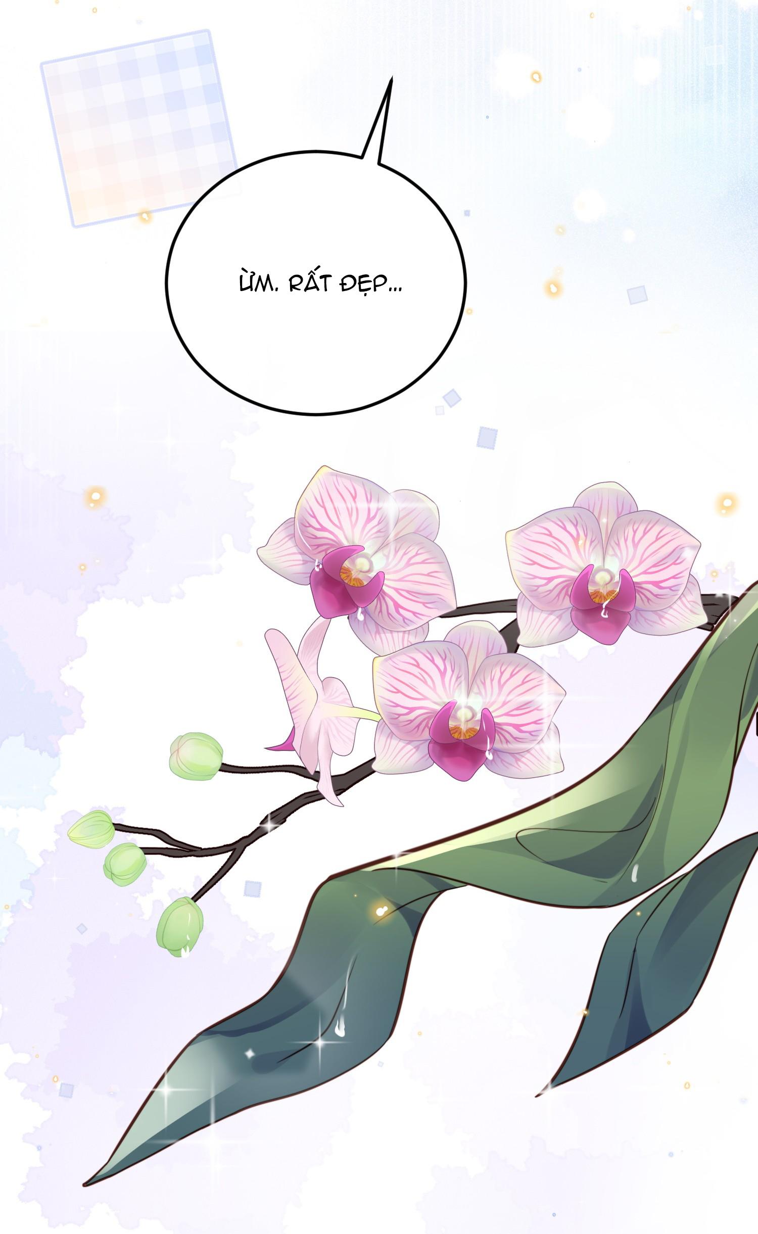 (END) Đặc Chế Cho Riêng Anh Chapter 44 - Trang 2