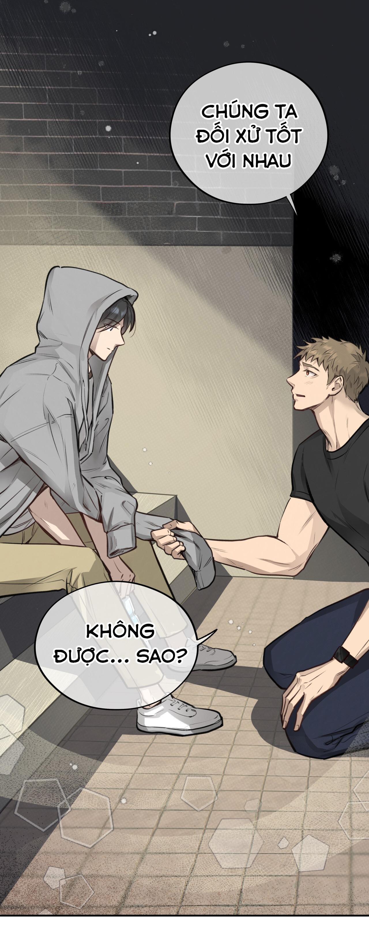 (END) MẬT GẤU Chapter 10 - Next Chapter 11