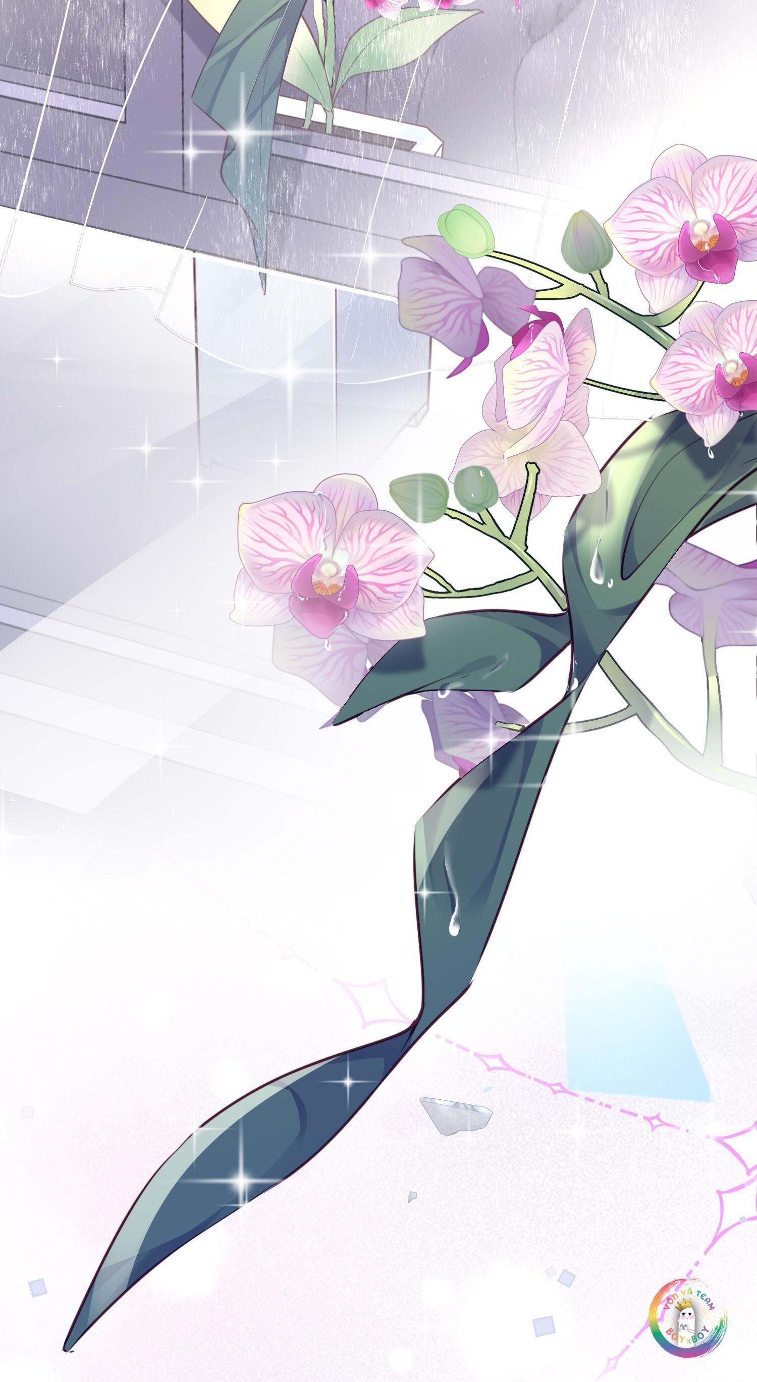 (END) Đặc Chế Cho Riêng Anh Chapter 43 - Trang 2