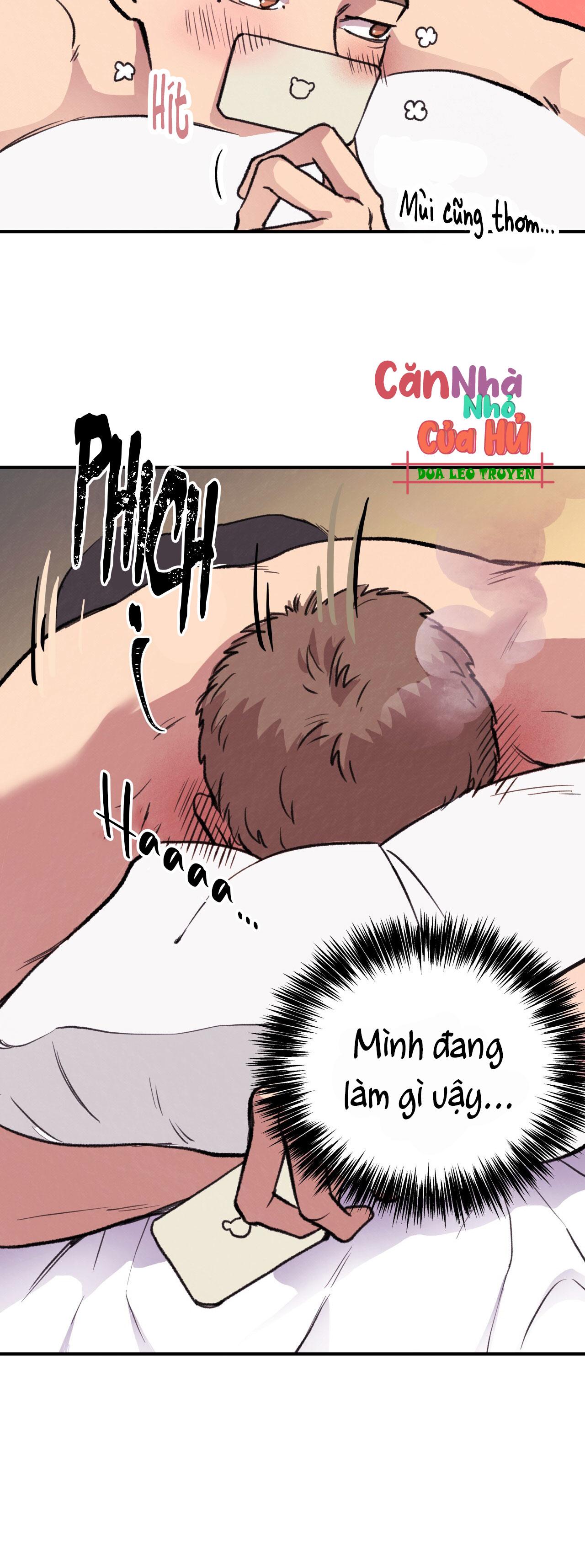 (END) MẬT GẤU Chapter 1 - Next Chapter 2