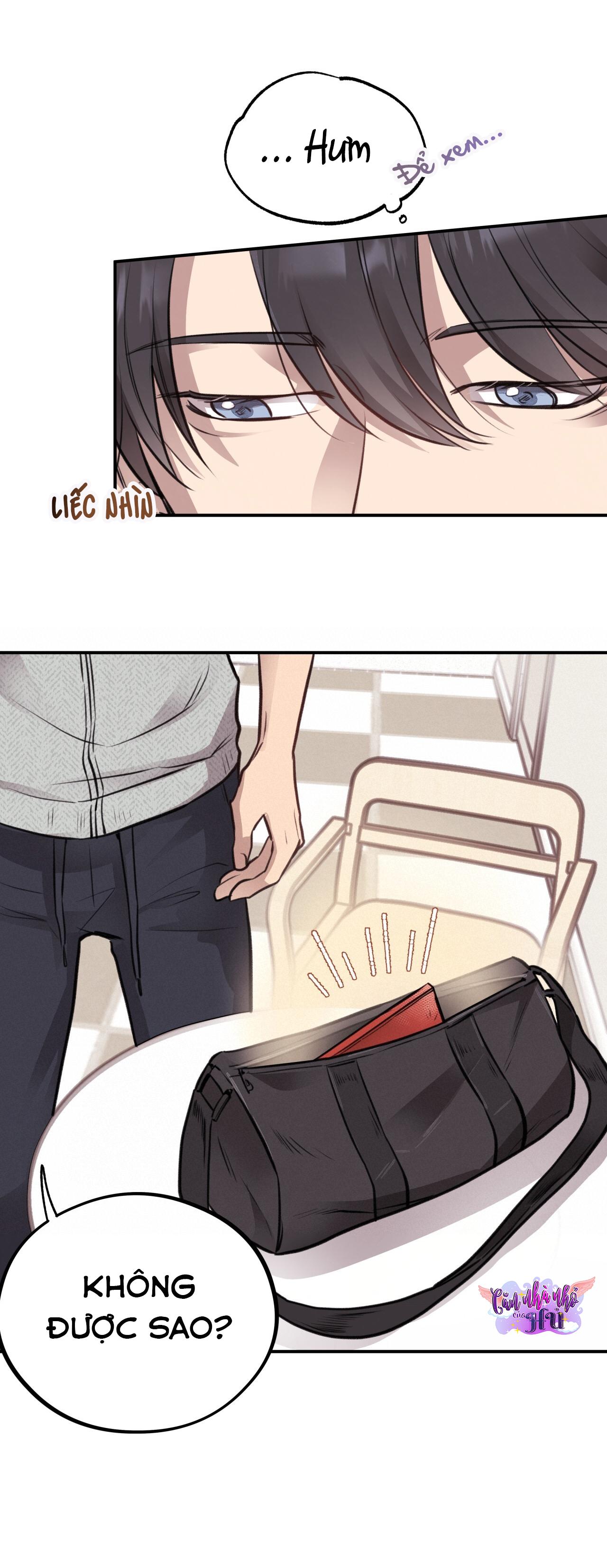 (END) MẬT GẤU Chapter 11 - Next Chapter 12