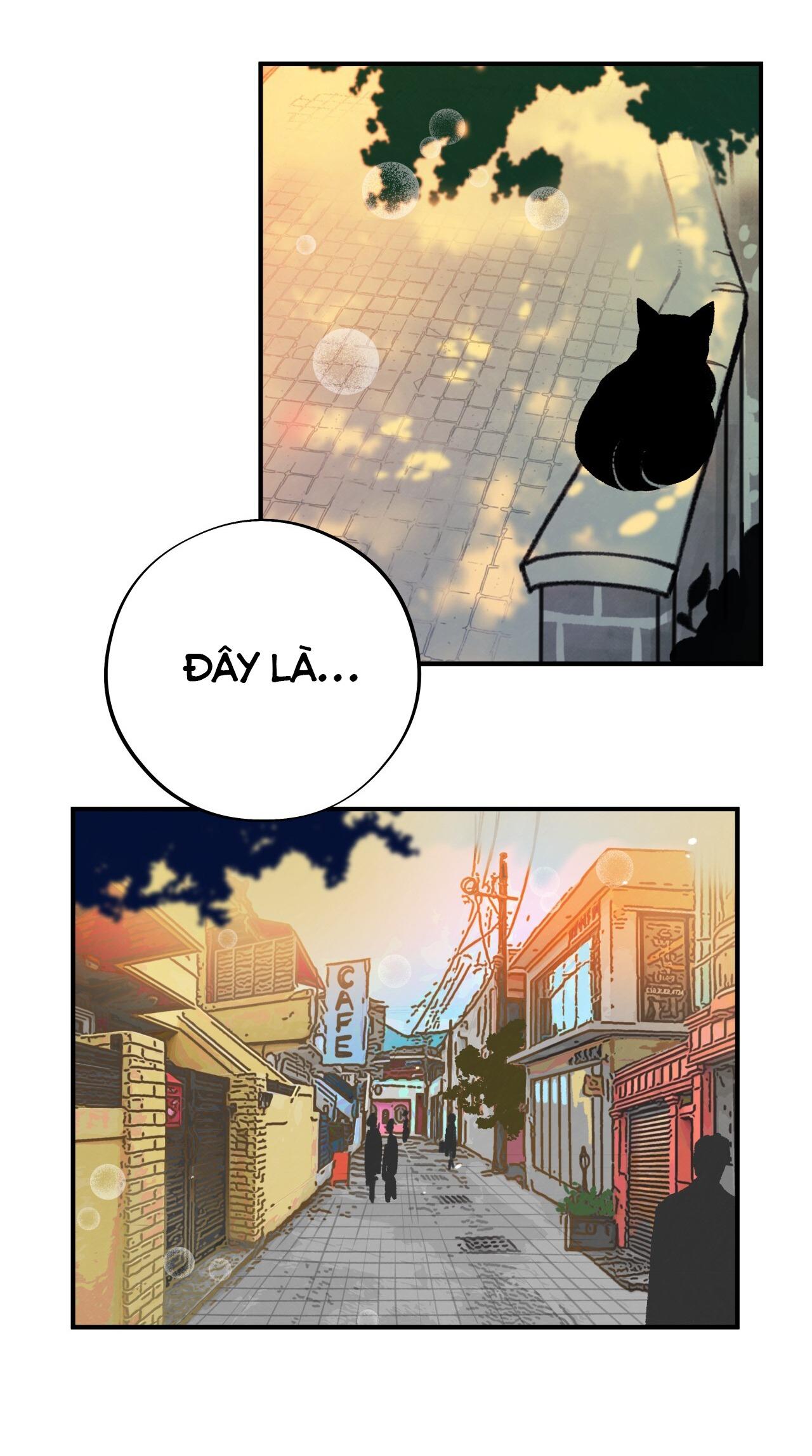 (END) MẬT GẤU Chapter 2 - Next Chapter 3