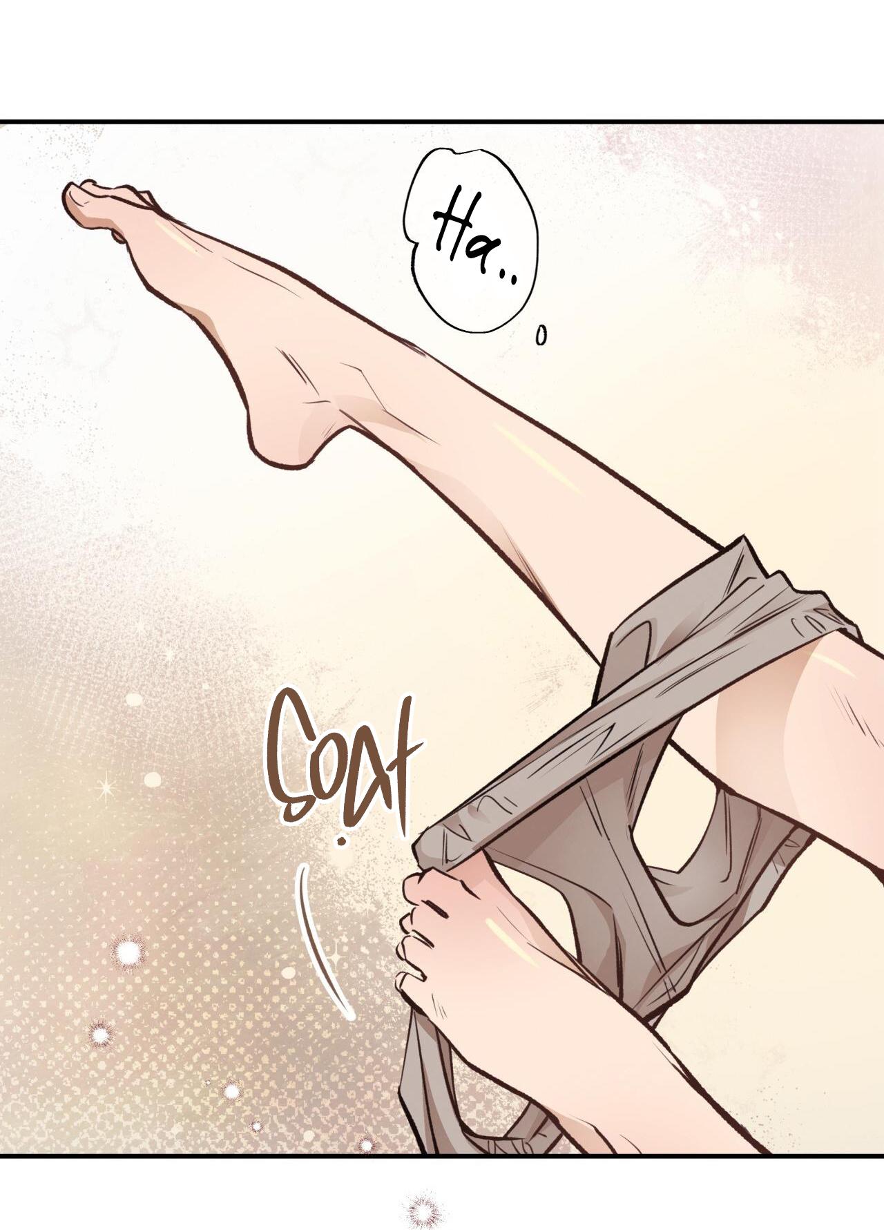 (END) MẬT GẤU Chapter 15 - Next Chapter 16