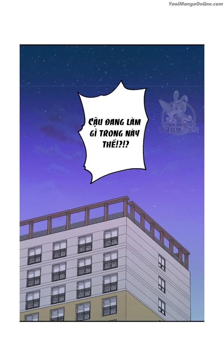 Tuyển tập BOYLOVE màu sắc Chapter 7.1 bộ đồ lót bò - Trang 2