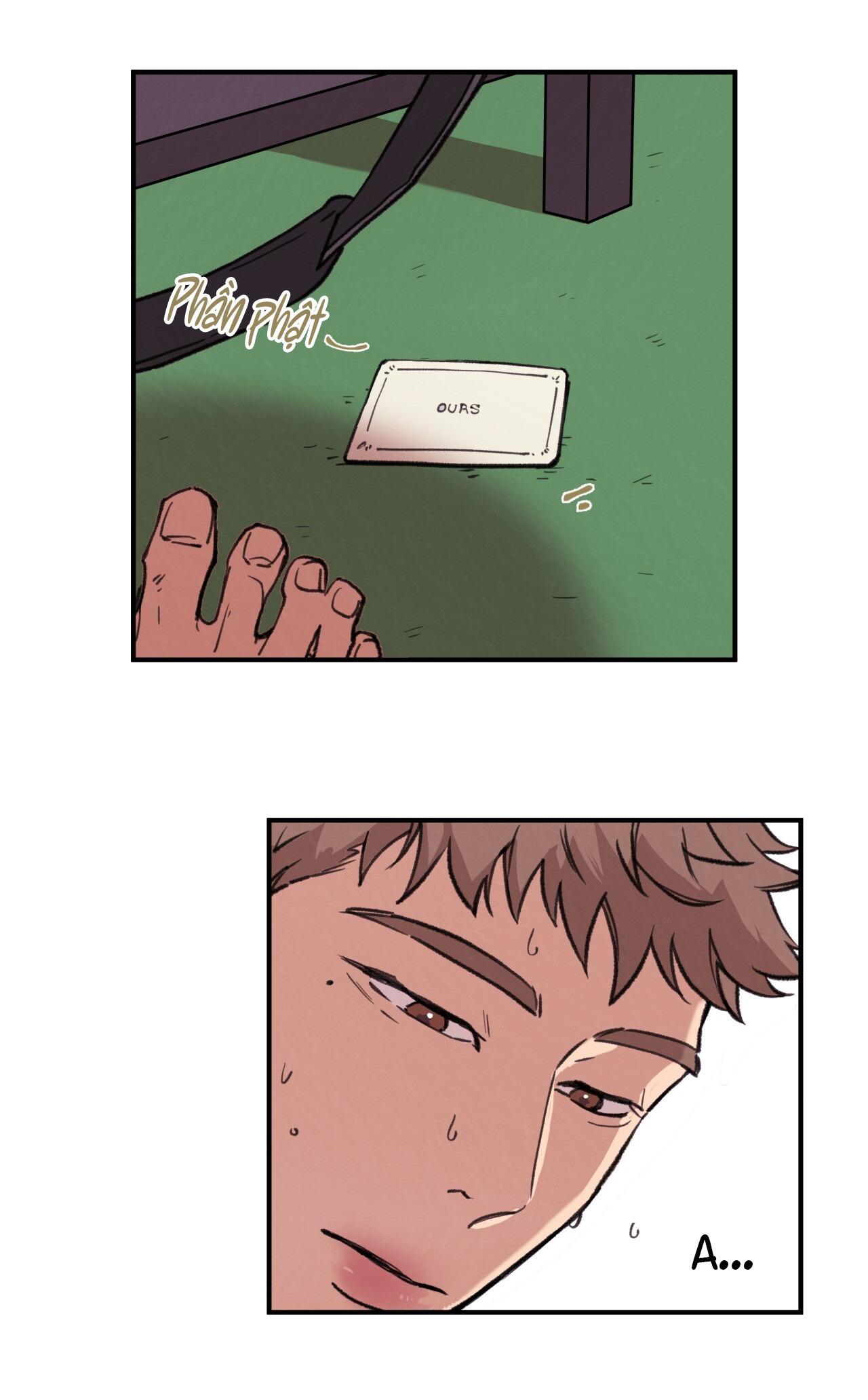 (END) MẬT GẤU Chapter 2 - Next Chapter 3