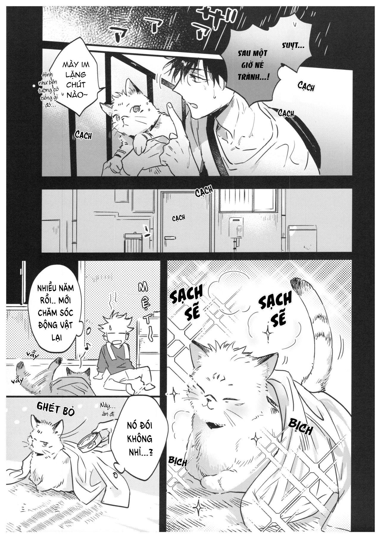 ONESHOT COI LÀ NỨNG Chapter 15.1 Megumi x Sukuna - Trang 2