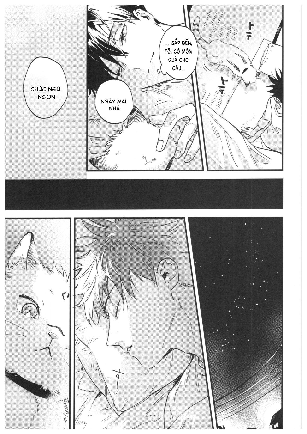 ONESHOT COI LÀ NỨNG Chapter 15.2 Megumi x Sukuna - Trang 2