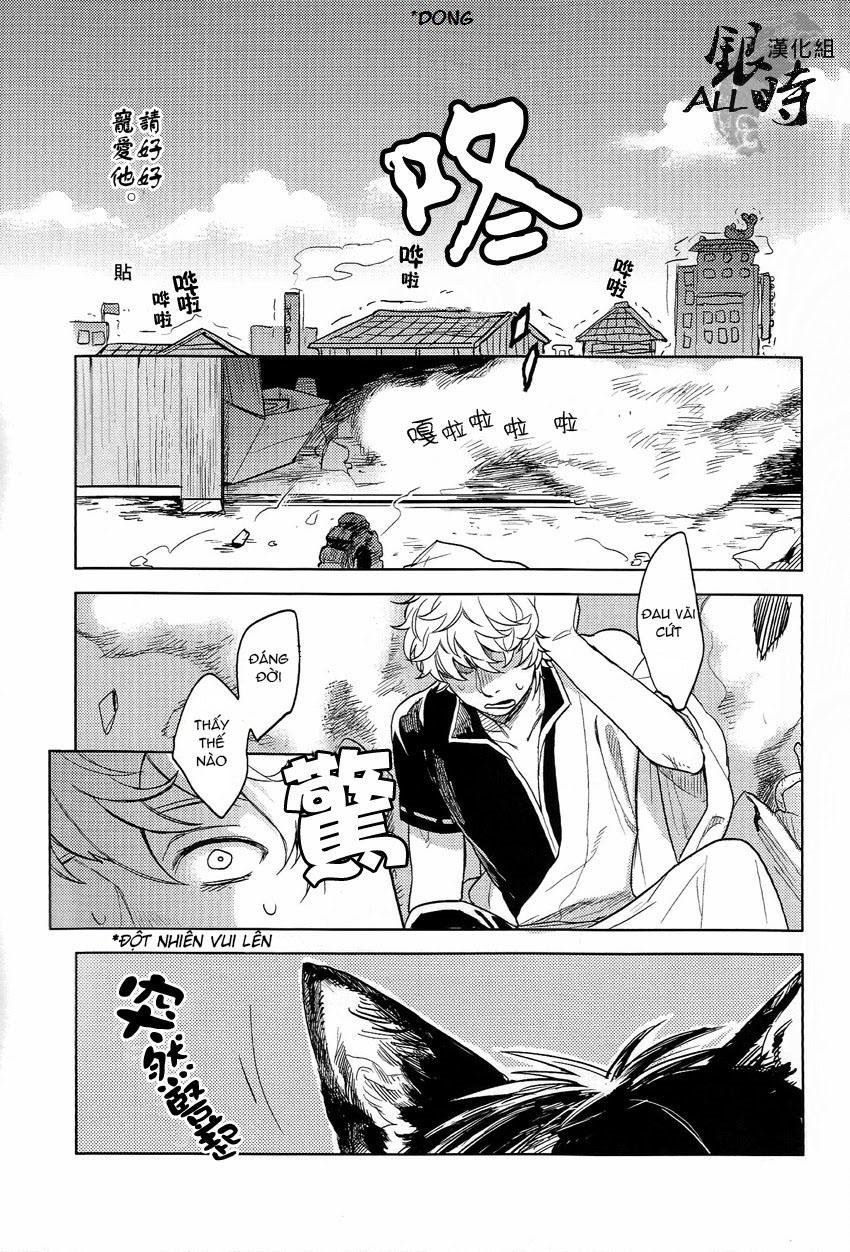 ONESHOT COI LÀ NỨNG Chapter 331 - Trang 2