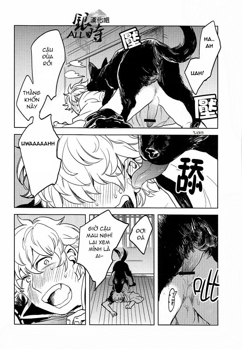 ONESHOT COI LÀ NỨNG Chapter 331 - Trang 2