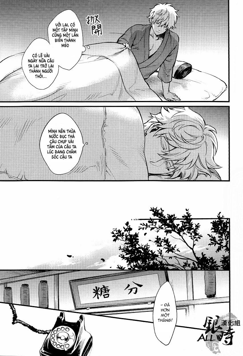 ONESHOT COI LÀ NỨNG Chapter 331 - Trang 2