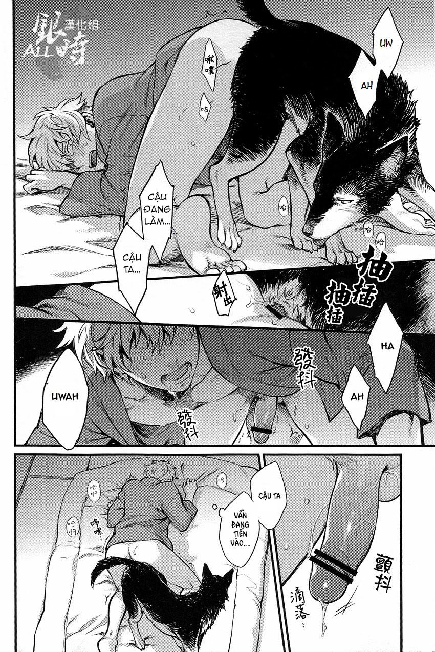 ONESHOT COI LÀ NỨNG Chapter 331 - Trang 2
