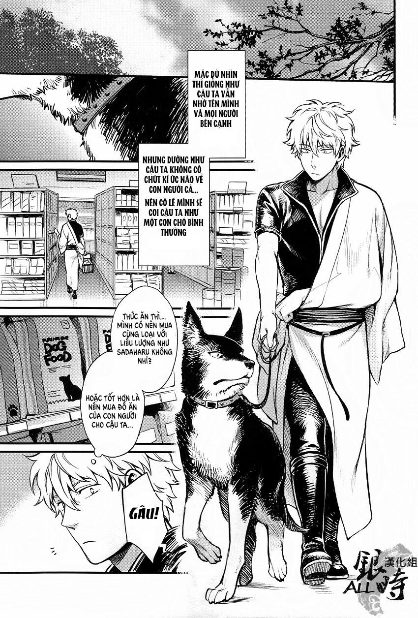 ONESHOT COI LÀ NỨNG Chapter 331 - Trang 2