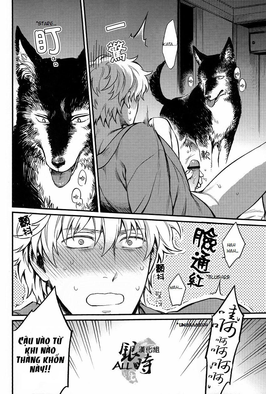 ONESHOT COI LÀ NỨNG Chapter 331 - Trang 2