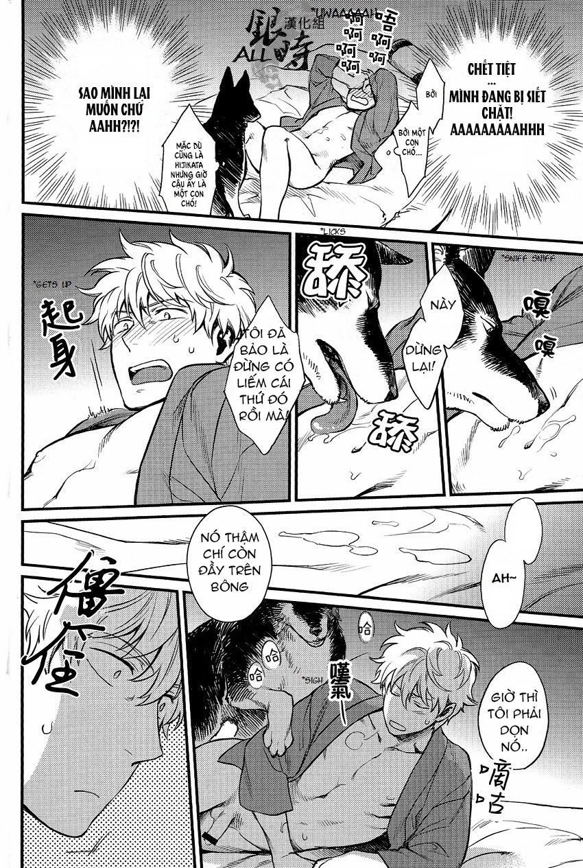 ONESHOT COI LÀ NỨNG Chapter 331 - Trang 2