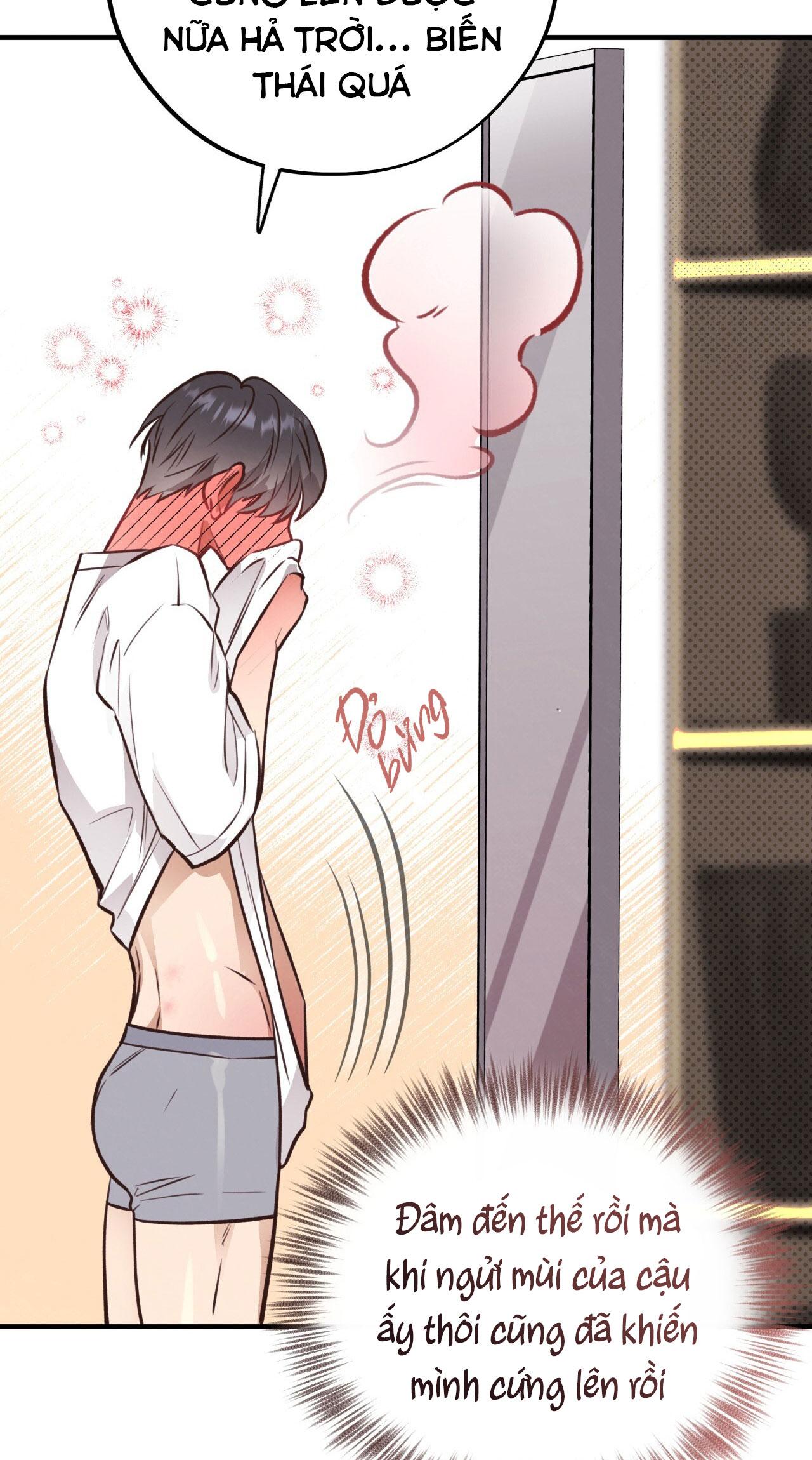 (END) MẬT GẤU Chapter 29 - Next Chapter 30 END SS1