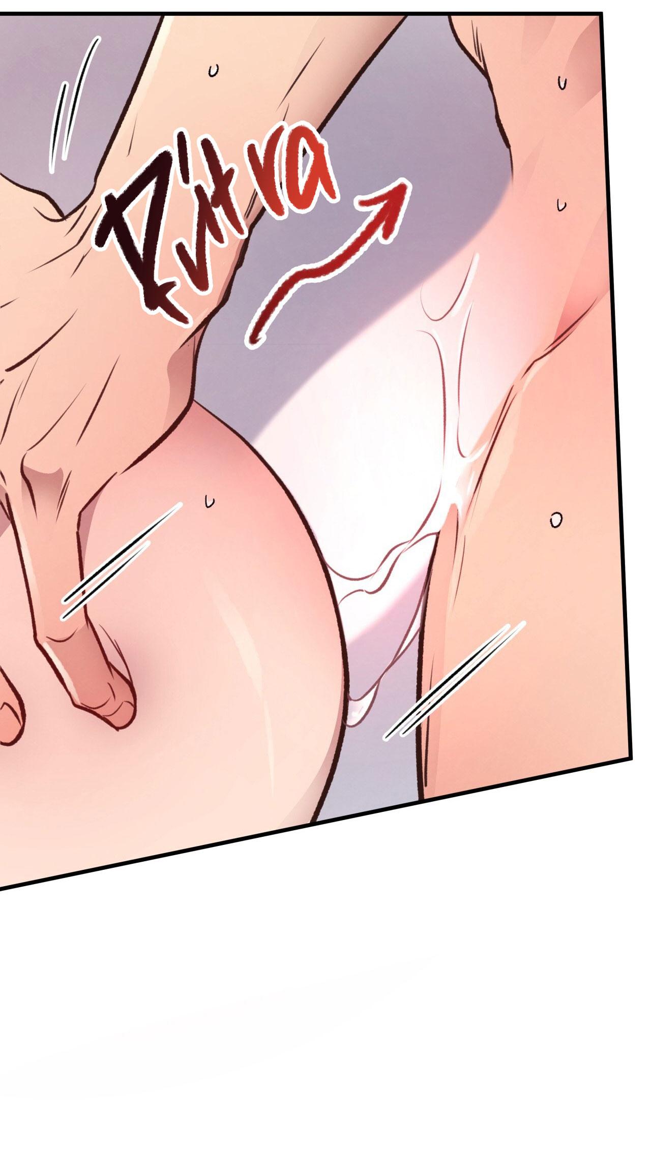 (END) MẬT GẤU Chapter 28 - Next Chapter 29