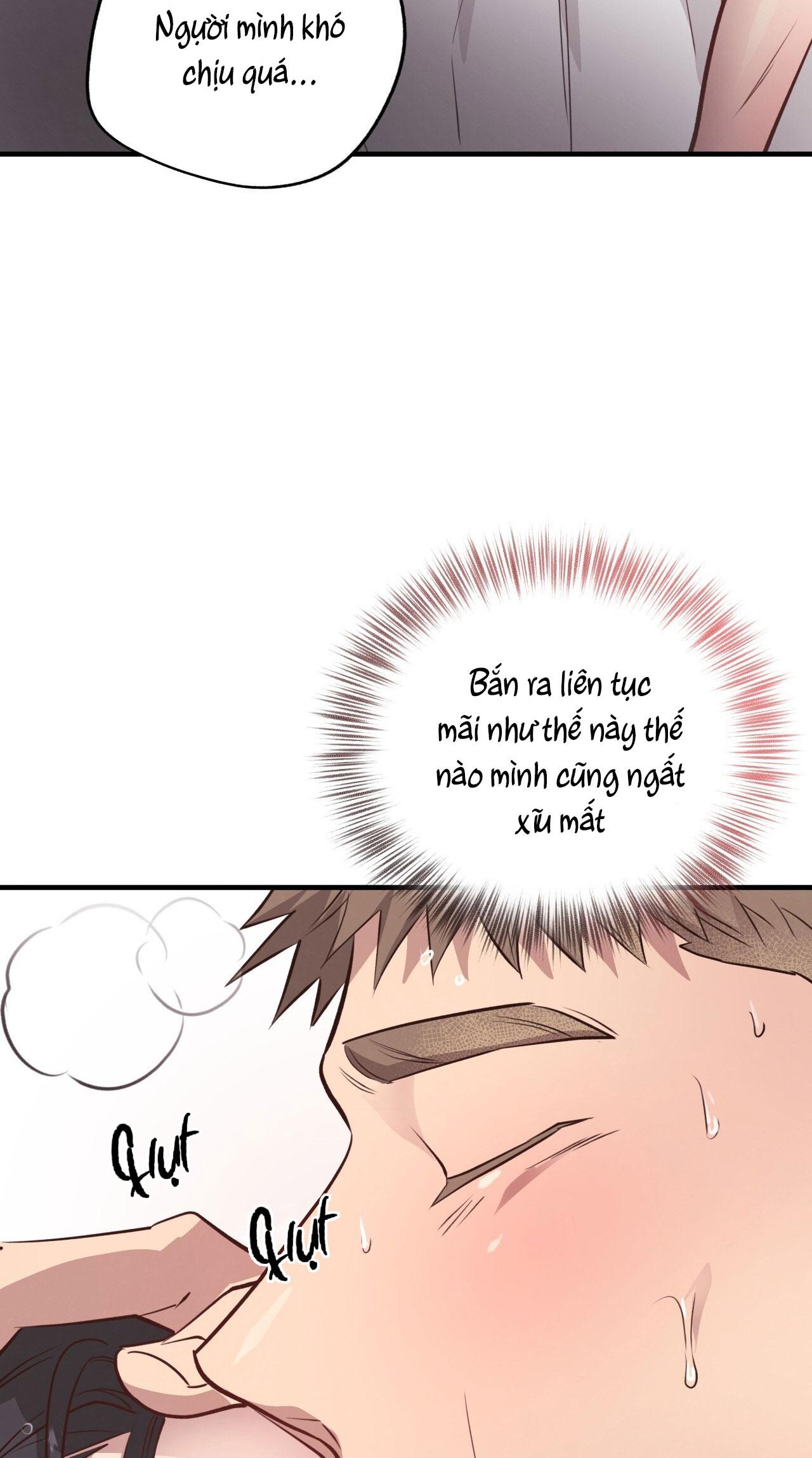 (END) MẬT GẤU Chapter 29 - Next Chapter 30 END SS1