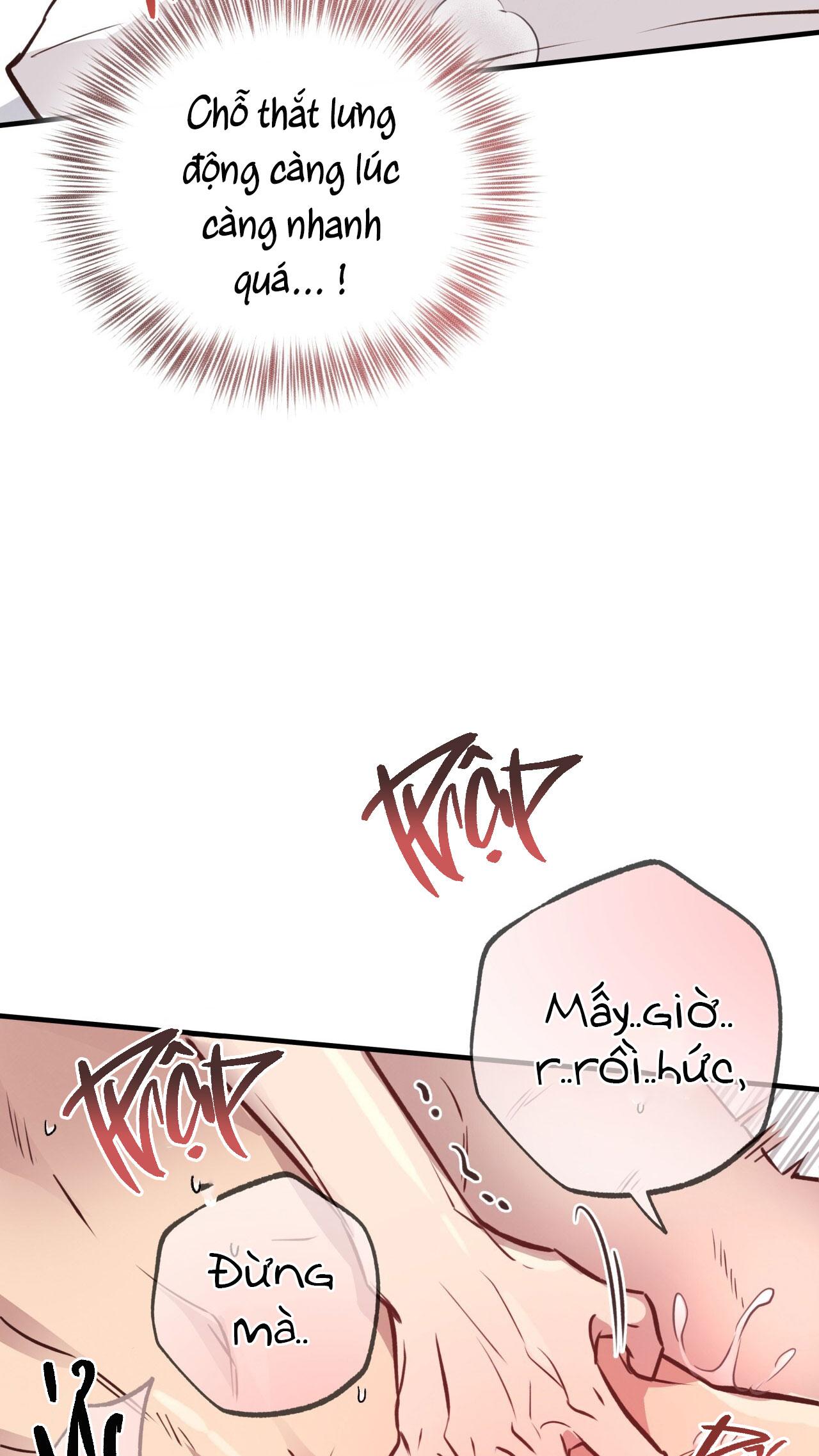 (END) MẬT GẤU Chapter 29 - Next Chapter 30 END SS1