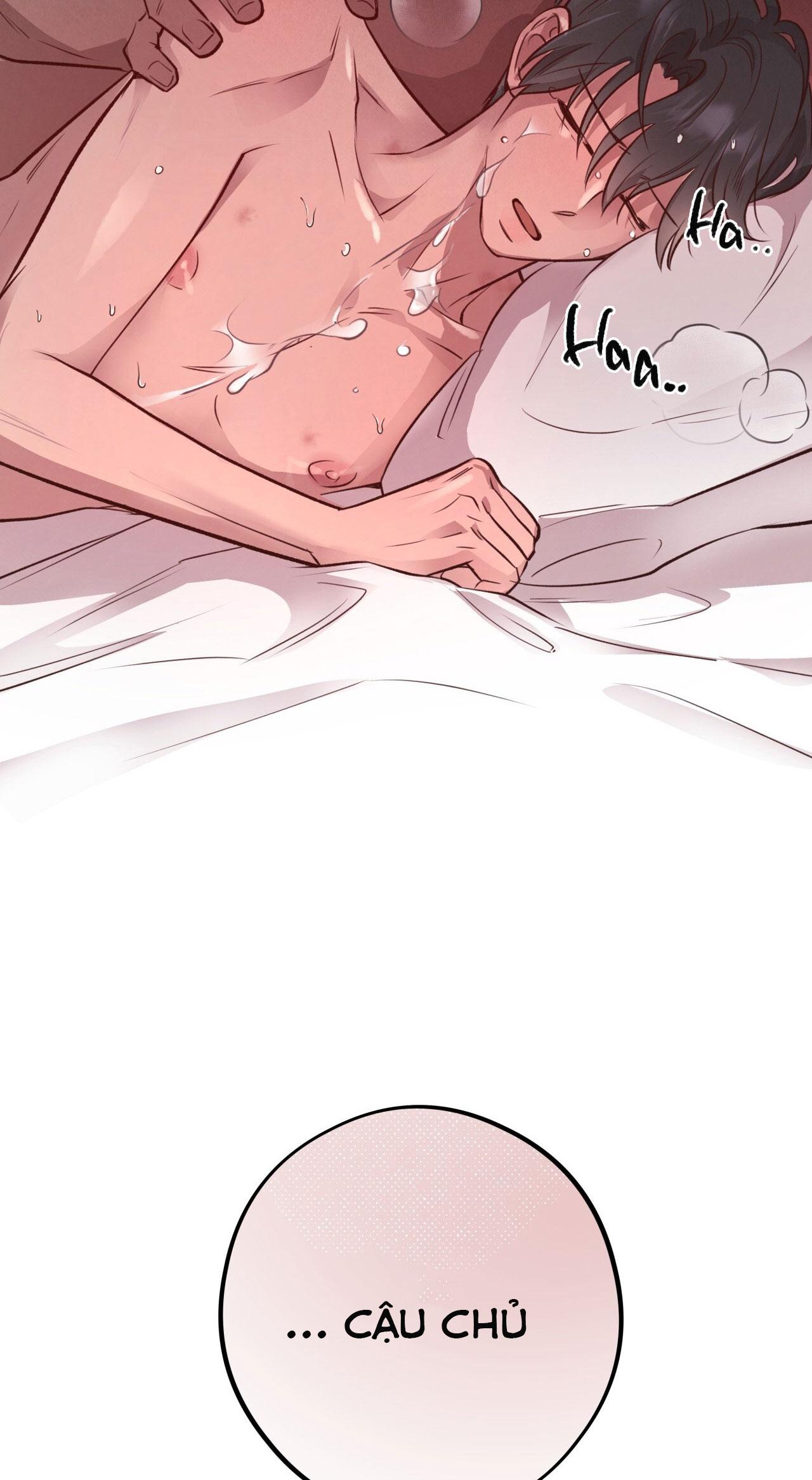 (END) MẬT GẤU Chapter 28 - Next Chapter 29