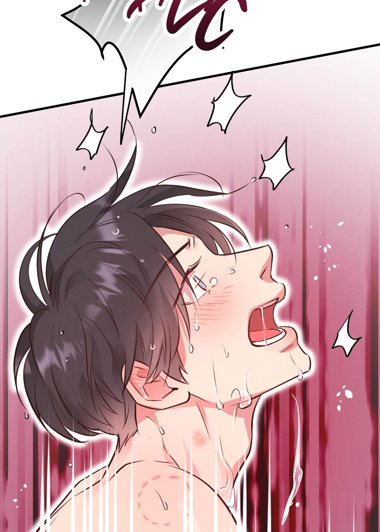 (END) MẬT GẤU Chapter 29 - Next Chapter 30 END SS1