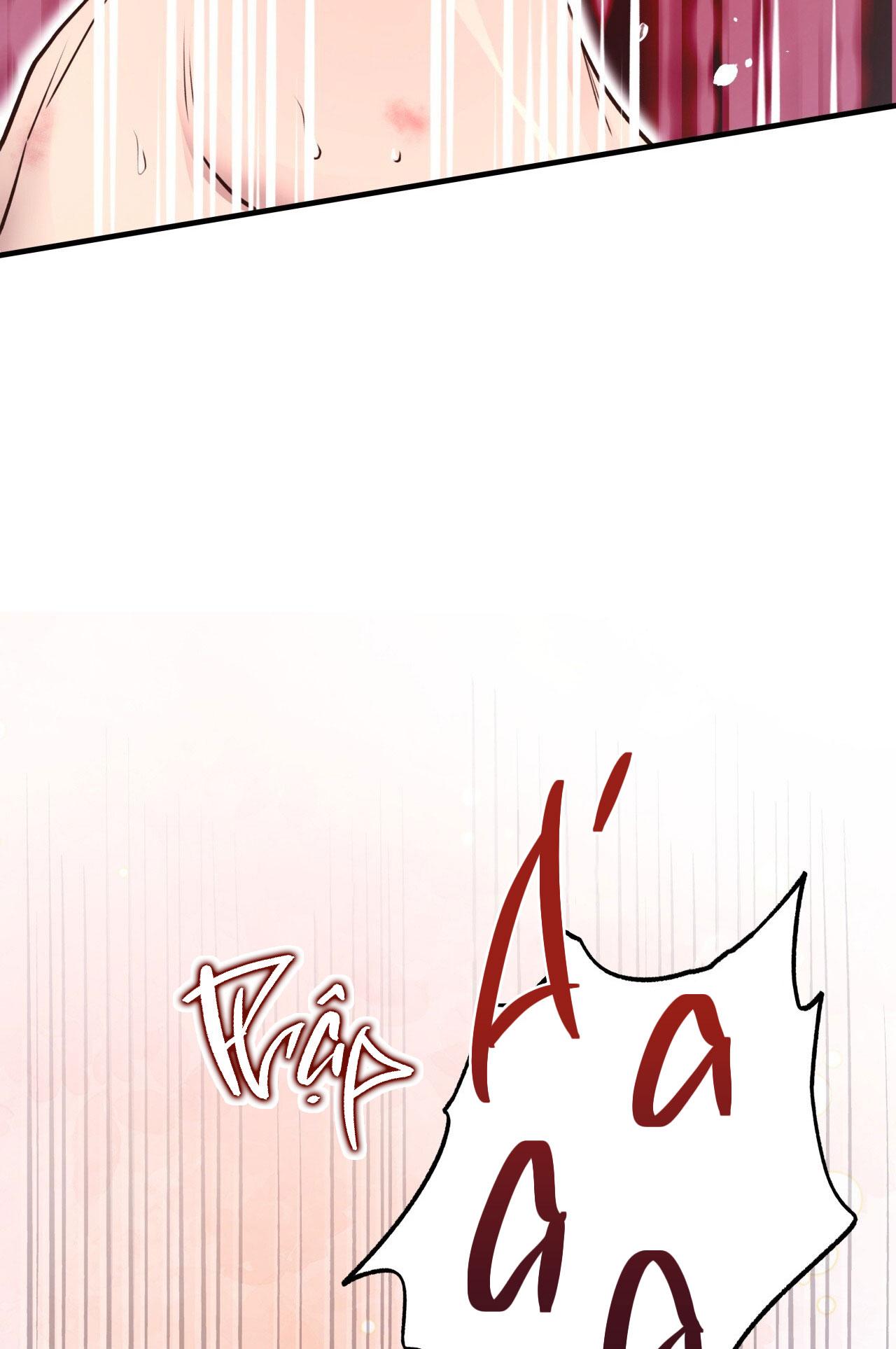 (END) MẬT GẤU Chapter 29 - Next Chapter 30 END SS1