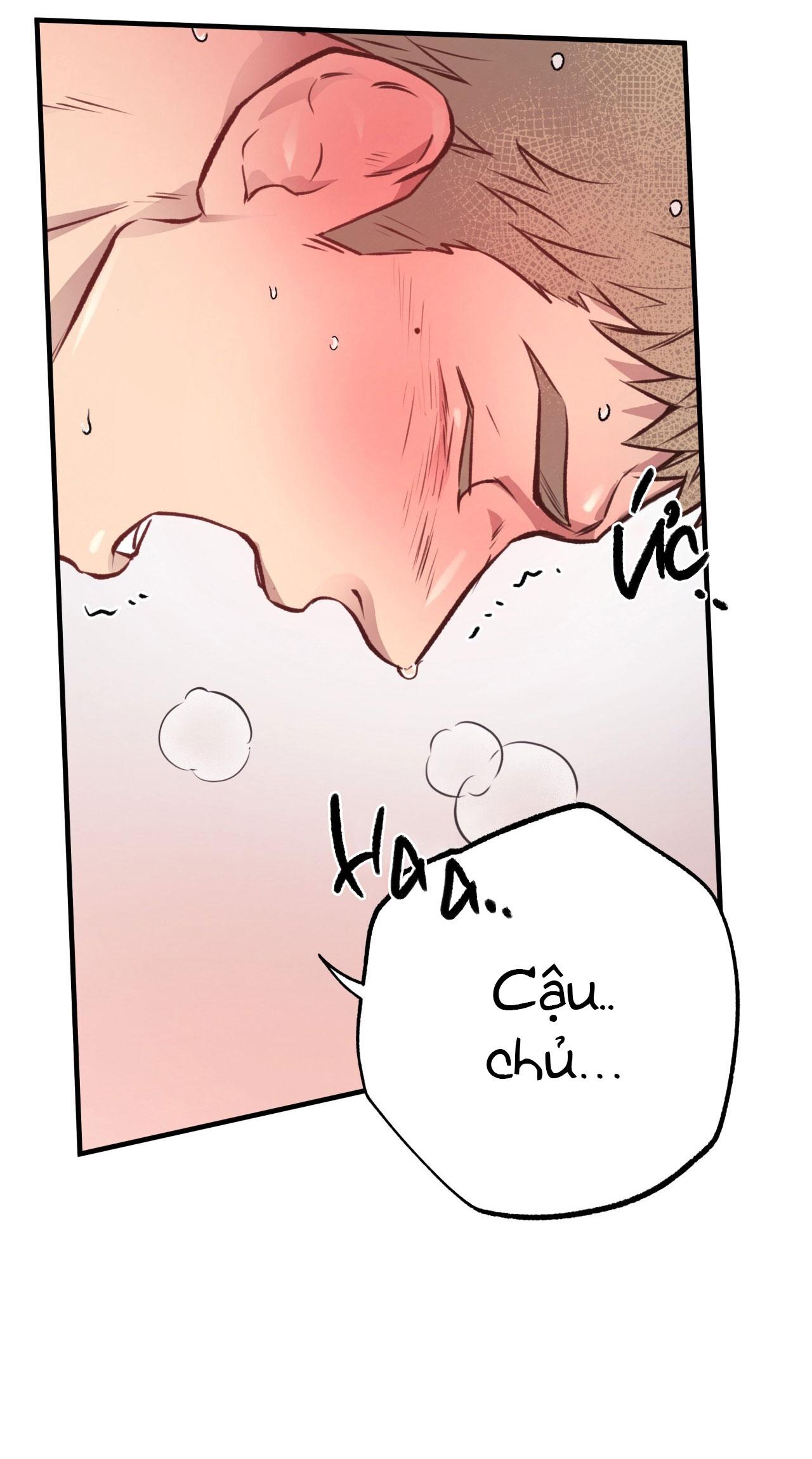 (END) MẬT GẤU Chapter 28 - Next Chapter 29