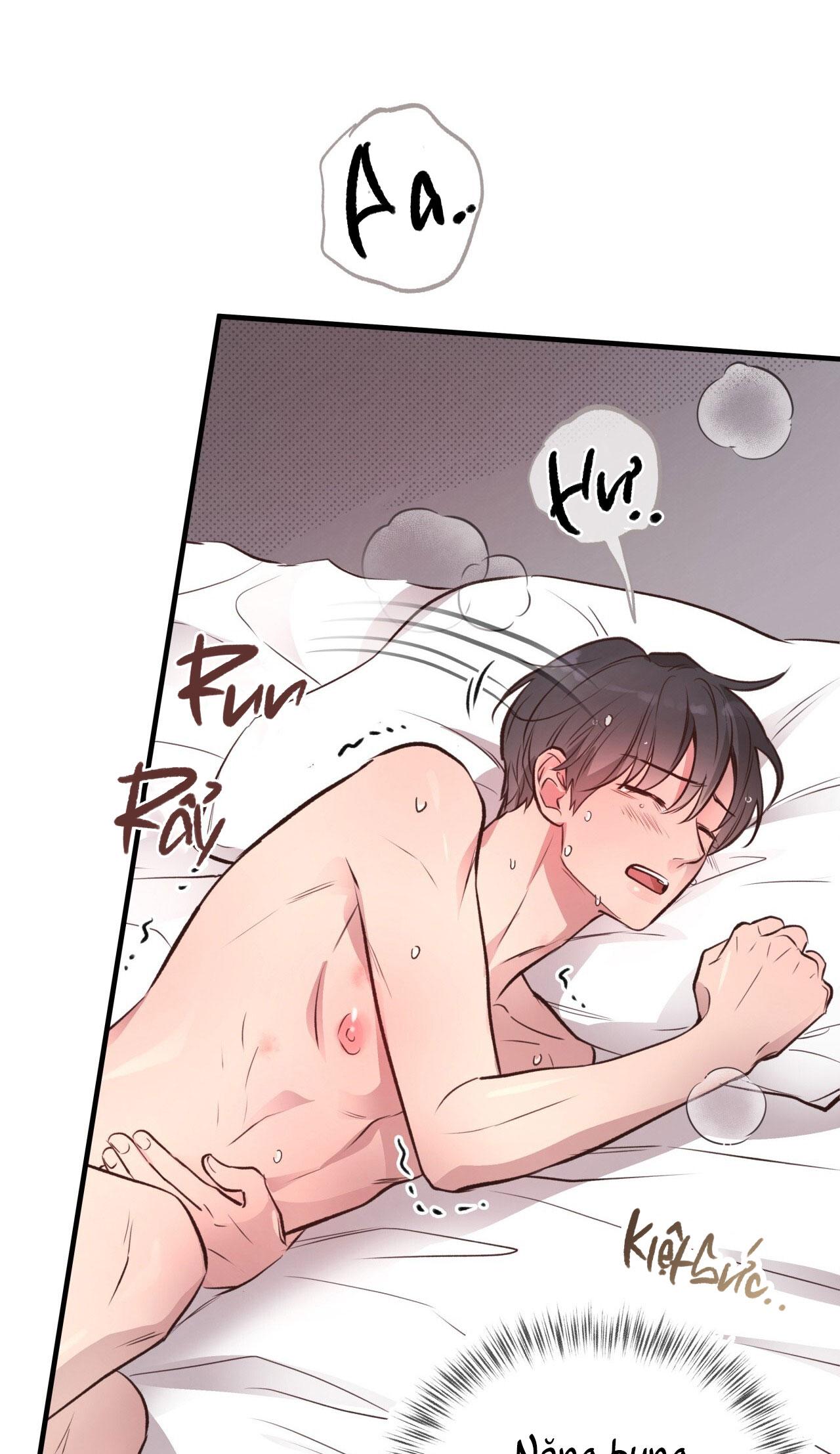 (END) MẬT GẤU Chapter 28 - Next Chapter 29