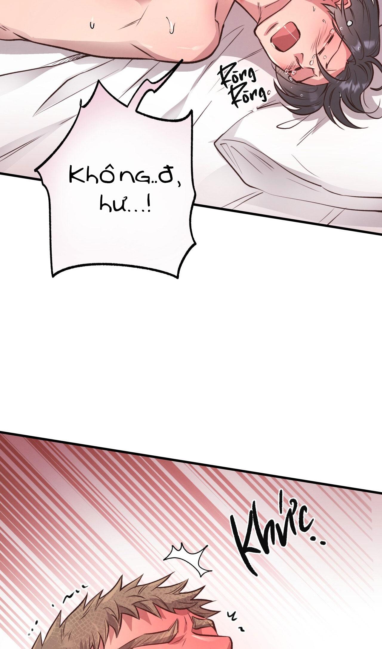 (END) MẬT GẤU Chapter 28 - Next Chapter 29