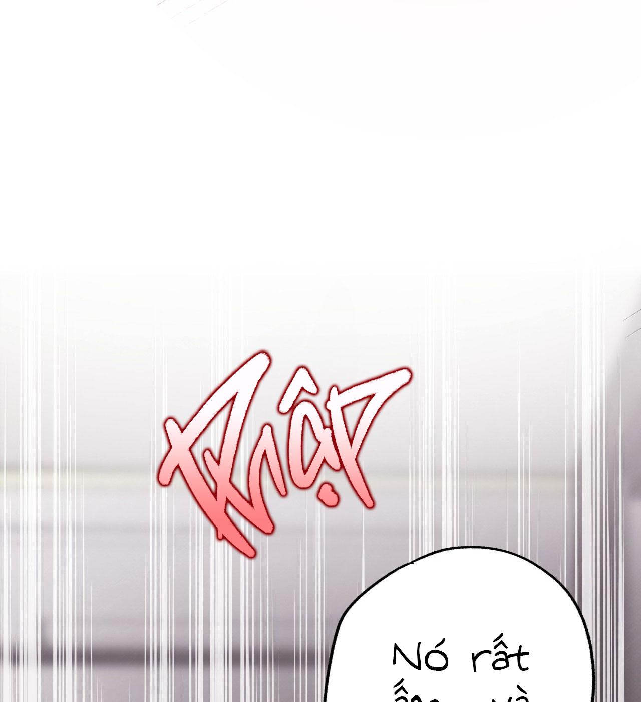 (END) MẬT GẤU Chapter 28 - Next Chapter 29