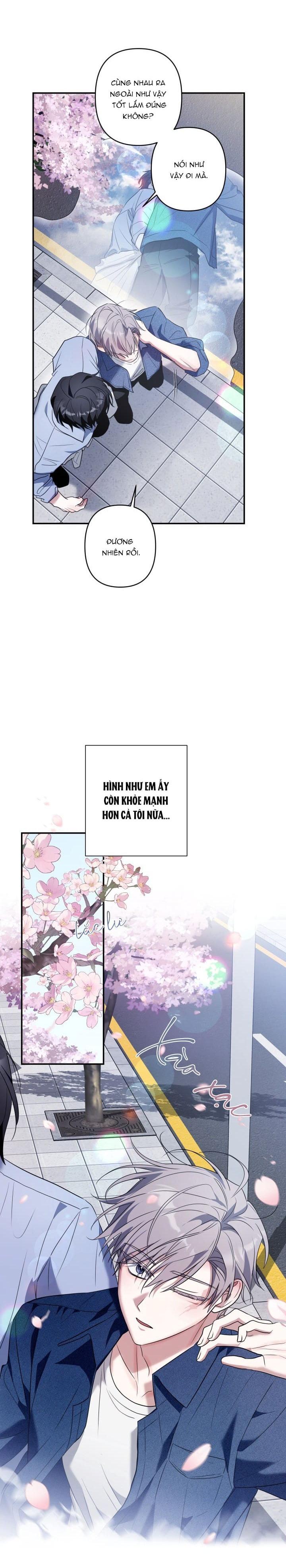 TUYỂN TẬP TRUYỆN NGẮN HỎNY CỦA NHÀ SẸC Chapter 79.6 thuốc end - Trang 2