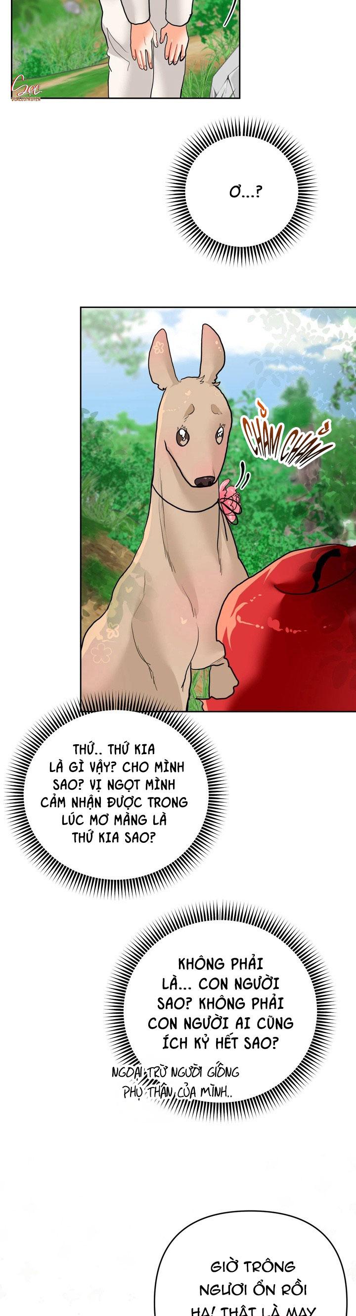 (ABO) OMEGA CỦA ANH TRAI Chapter 17 - Trang 2