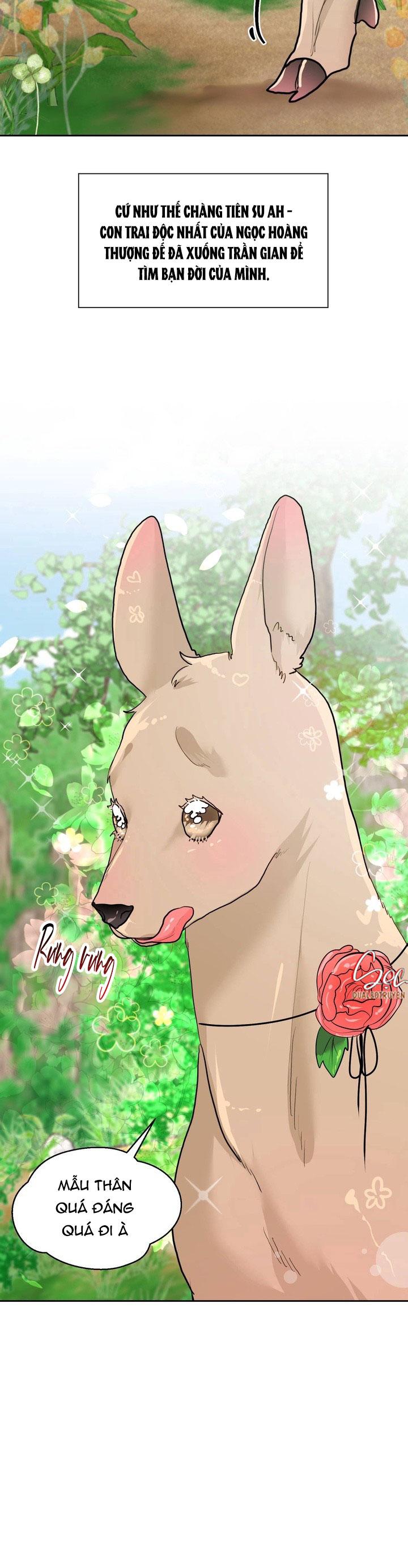 (ABO) OMEGA CỦA ANH TRAI Chapter 17 - Trang 2