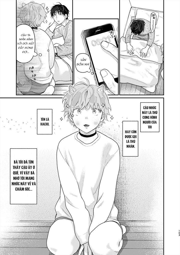 ONESHOT CHỊCH Chapter 218.5 - Trang 2