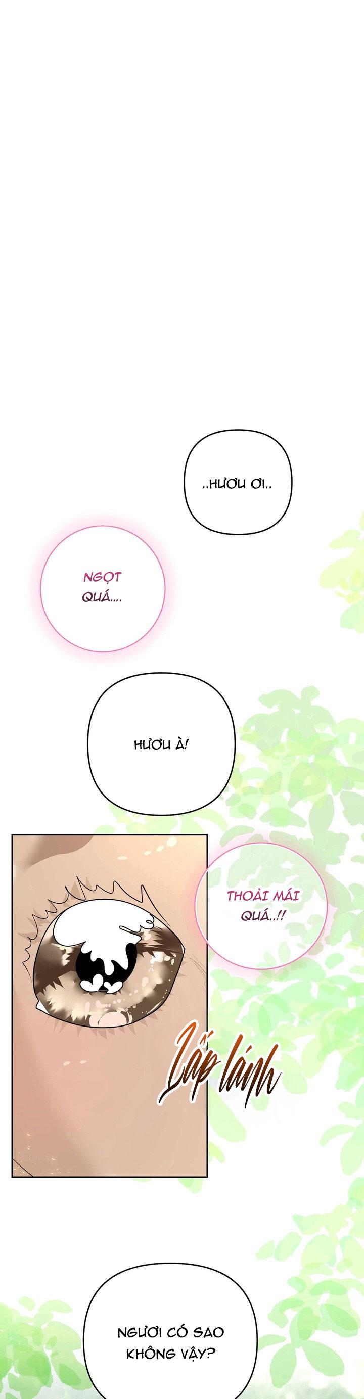 (ABO) OMEGA CỦA ANH TRAI Chapter 17 - Trang 2